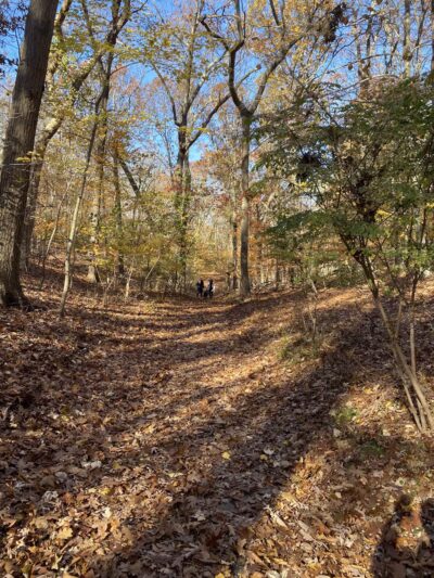 Cordwood Landing County Park - Miller Place, NY