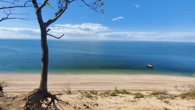 Cordwood Landing County Park - Miller Place, NY