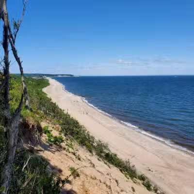 Suffolk County Park Land - Miller Place, NY