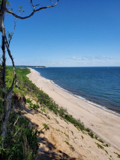 Suffolk County Park Land - Miller Place, NY