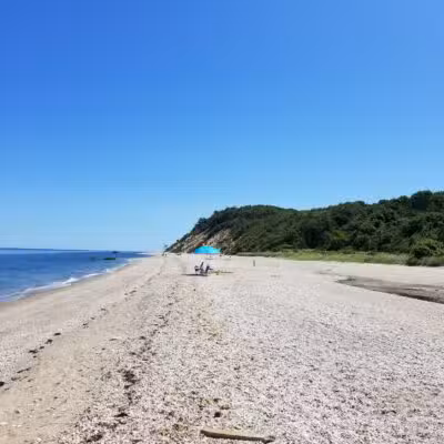 Suffolk County Park Land - Miller Place, NY