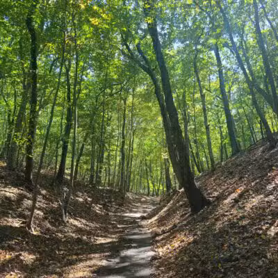 Suffolk County Park Land - Miller Place, NY