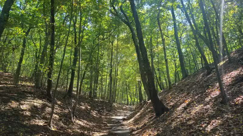 Suffolk County Park Land - Miller Place, NY