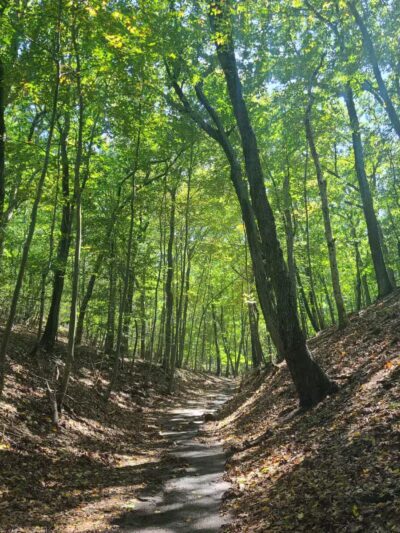 Suffolk County Park Land - Miller Place, NY