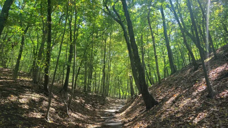 Suffolk County Park Land - Miller Place, NY