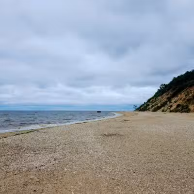 Suffolk County Park Land - Miller Place, NY