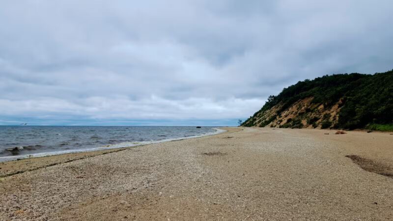 Suffolk County Park Land - Miller Place, NY