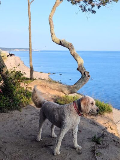 Suffolk County Park Land - Miller Place, NY