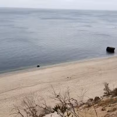 Suffolk County Park Land - Miller Place, NY