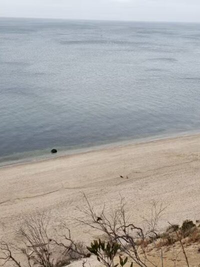 Suffolk County Park Land - Miller Place, NY