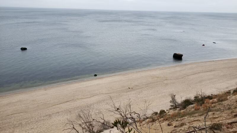 Suffolk County Park Land - Miller Place, NY