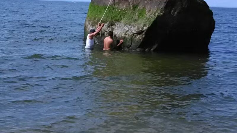 Suffolk County Park Land - Miller Place, NY