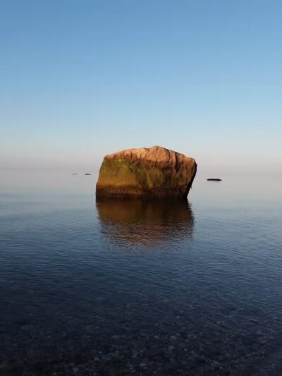 Suffolk County Park Land - Miller Place, NY