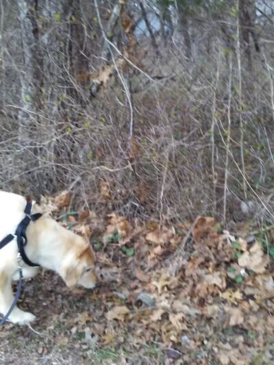 Sylvan Ave Park - Miller Place, NY