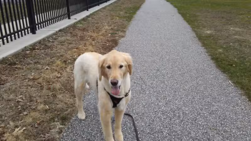 Sylvan Ave Park - Miller Place, NY