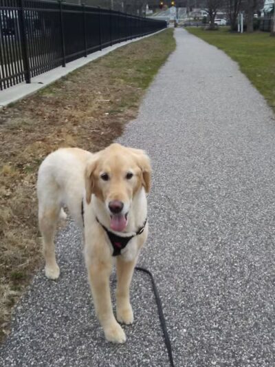 Sylvan Ave Park - Miller Place, NY