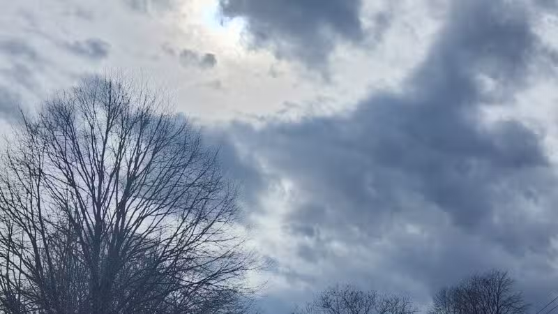 Sylvan Ave Park - Miller Place, NY