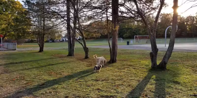 Andrews Park - Milton, MA
