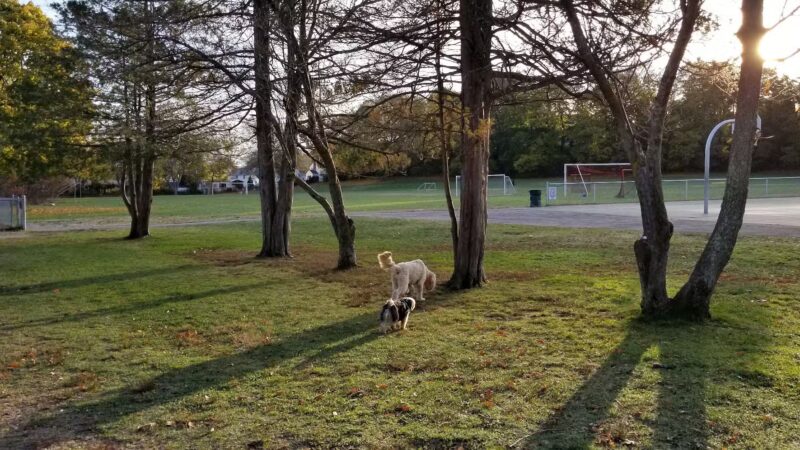 Andrews Park - Milton, MA