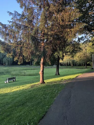 Cunningham Park - Milton, MA