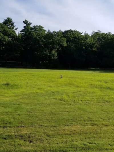 Cunningham Park - Milton, MA