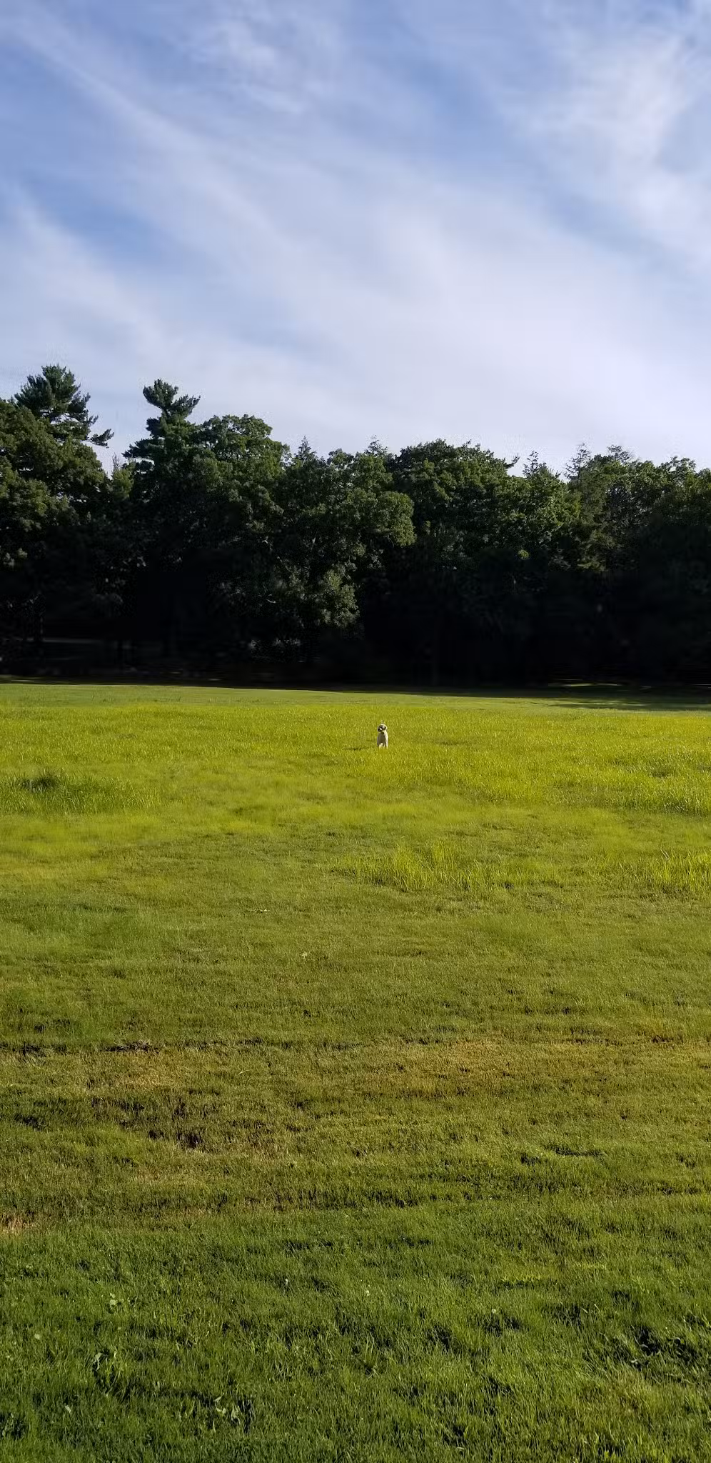 Cunningham Park - Milton, MA