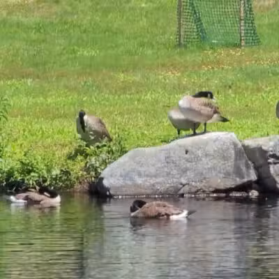 Waumbeck Park - Milton Mills, NH
