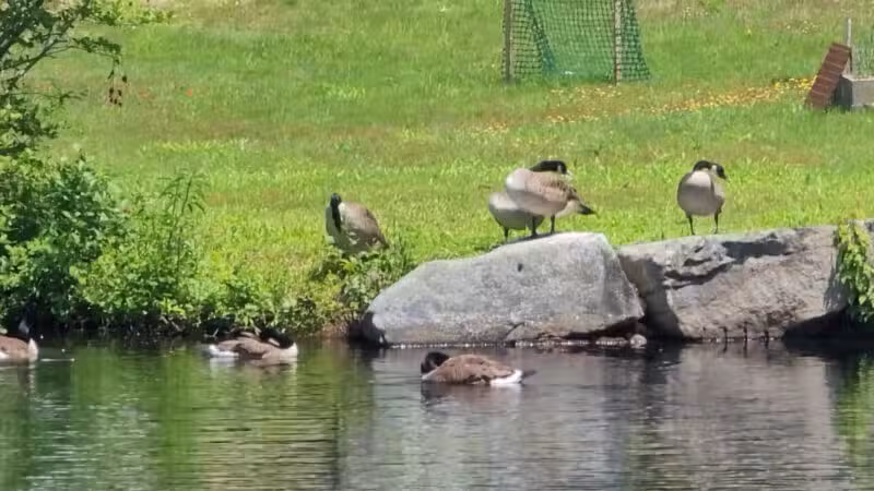 Waumbeck Park - Milton Mills, NH