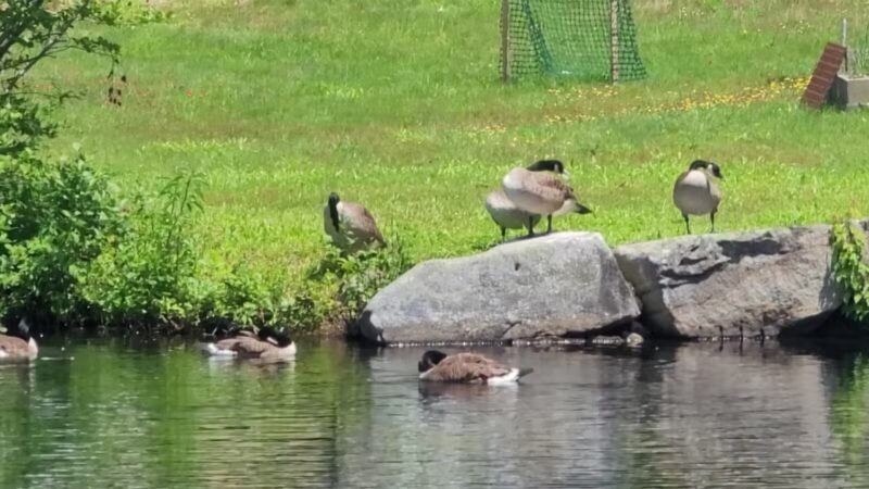 Waumbeck Park - Milton Mills, NH