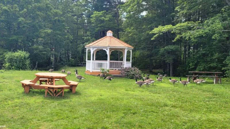 Waumbeck Park - Milton Mills, NH