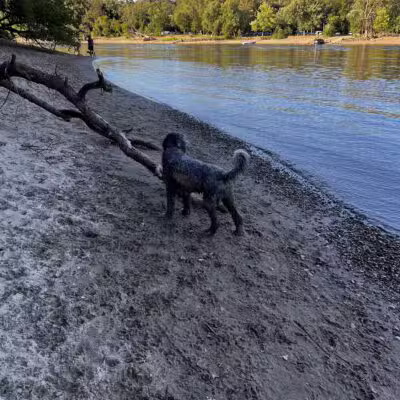 Minnehaha Off Leash Area - Minneapolis, MN