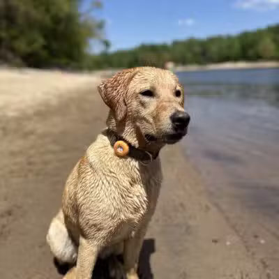 Minnehaha Off Leash Area - Minneapolis, MN