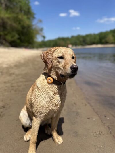 Minnehaha Off Leash Area - Minneapolis, MN