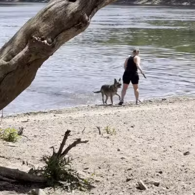 Minnehaha Off Leash Area - Minneapolis, MN