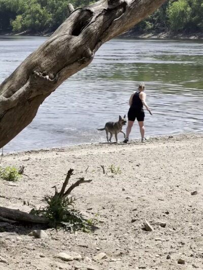 Minnehaha Off Leash Area - Minneapolis, MN