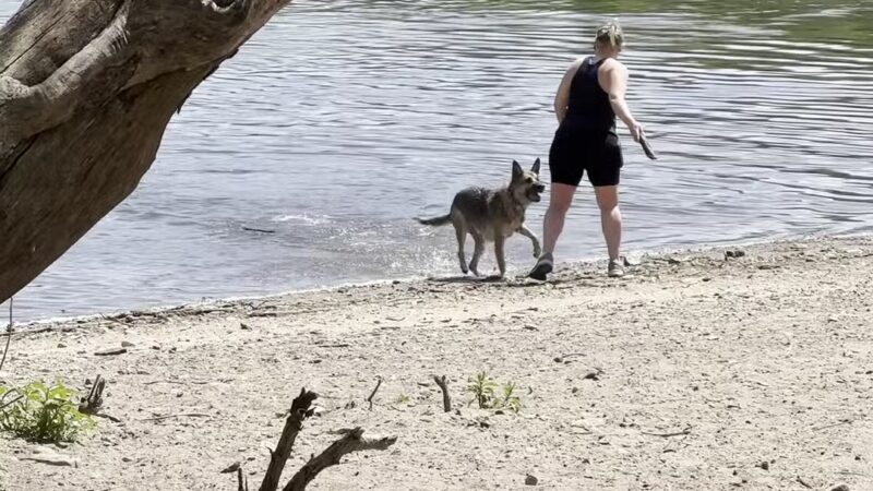 Minnehaha Off Leash Area - Minneapolis, MN