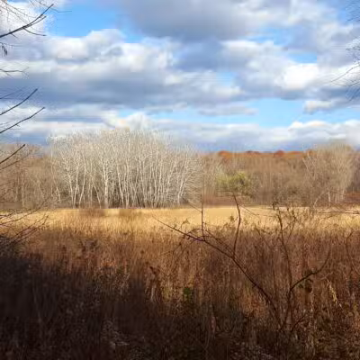 Purgatory Park, Minnetonka Township - Minnetonka, MN