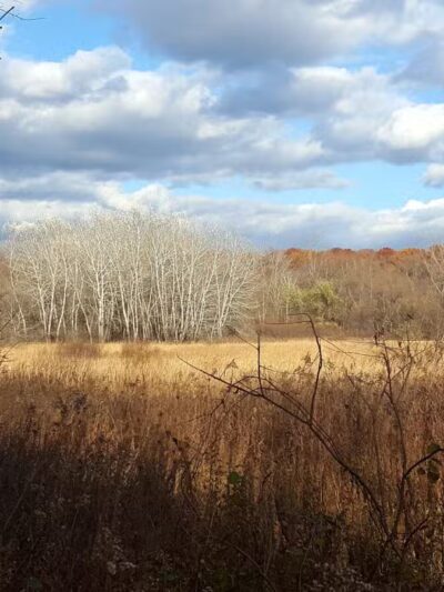 Purgatory Park, Minnetonka Township - Minnetonka, MN