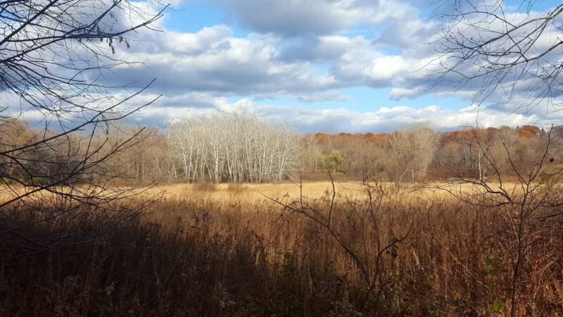 Purgatory Park, Minnetonka Township - Minnetonka, MN