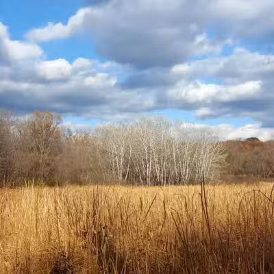 Purgatory Park, Minnetonka Township - Minnetonka, MN