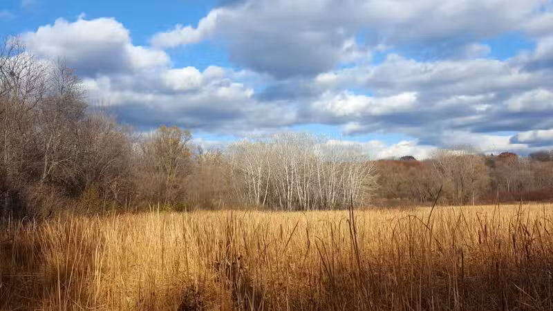 Purgatory Park, Minnetonka Township - Minnetonka, MN
