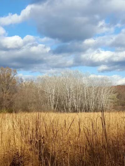 Purgatory Park, Minnetonka Township - Minnetonka, MN