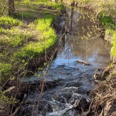Purgatory Park, Minnetonka Township - Minnetonka, MN