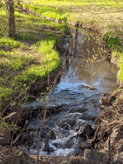 Purgatory Park, Minnetonka Township - Minnetonka, MN