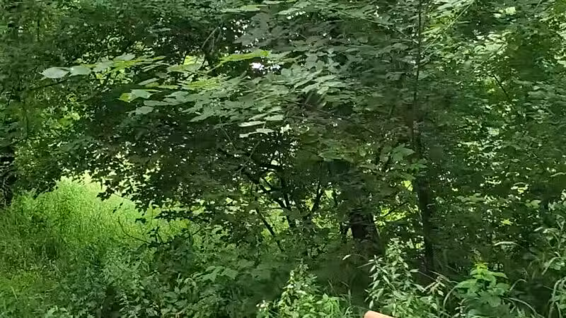 Purgatory Park, Minnetonka Township - Minnetonka, MN