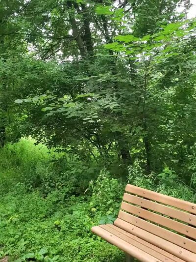 Purgatory Park, Minnetonka Township - Minnetonka, MN