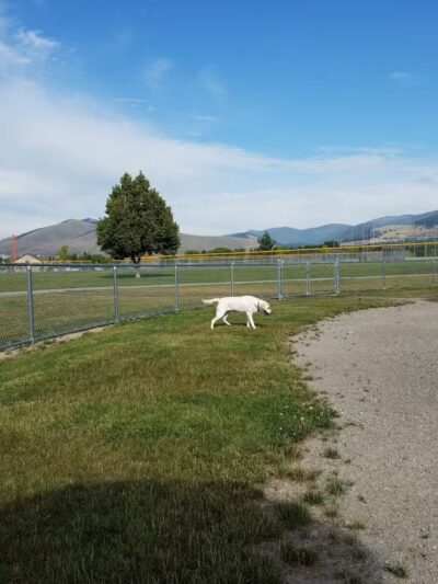 Fort Missoula Canine Campus - Missoula, MT