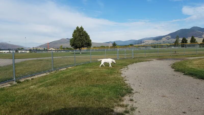 Fort Missoula Canine Campus - Missoula, MT