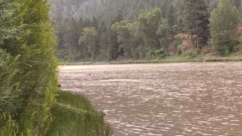Hellgate Small Dog Park - Missoula, MT