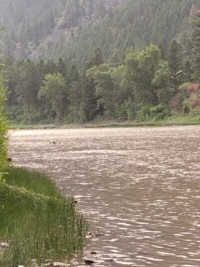 Hellgate Small Dog Park - Missoula, MT